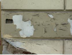 Wall Plaster Paint Peeling